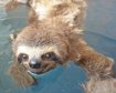 thumb-image-2024-02-29T14:05:59.404Z