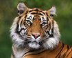 thumb-image-2024-02-29T14:05:59.844Z