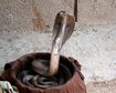 thumb-image-2024-02-29T14:06:02.123Z