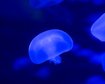 thumb-image-2024-02-29T14:06:03.563Z