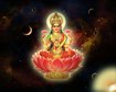 thumb-image-2024-02-29T14:06:04.843Z