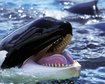 thumb-image-2024-02-29T14:06:04.799Z