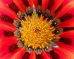 thumb-image-2024-02-29T14:06:04.956Z