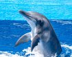 thumb-image-2024-02-29T14:06:05.784Z