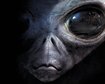 thumb-image-2024-02-29T14:06:06.083Z