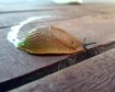 thumb-image-2024-02-29T14:06:06.643Z
