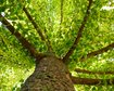 thumb-image-2024-02-29T14:06:06.871Z