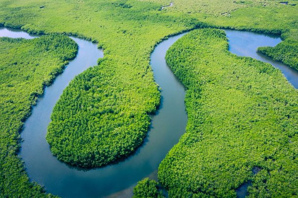 Amazônia. (Fonte: Shutterstock)
