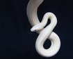 thumb-image-2024-02-29T14:06:08.399Z