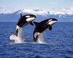 thumb-image-2024-02-29T14:06:09.101Z