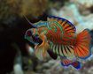 thumb-image-2024-02-29T14:06:09.593Z