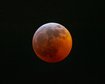 thumb-image-2024-02-29T14:06:10.590Z