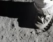 thumb-image-2024-02-29T14:06:11.712Z