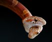 thumb-image-2024-02-29T14:06:11.982Z