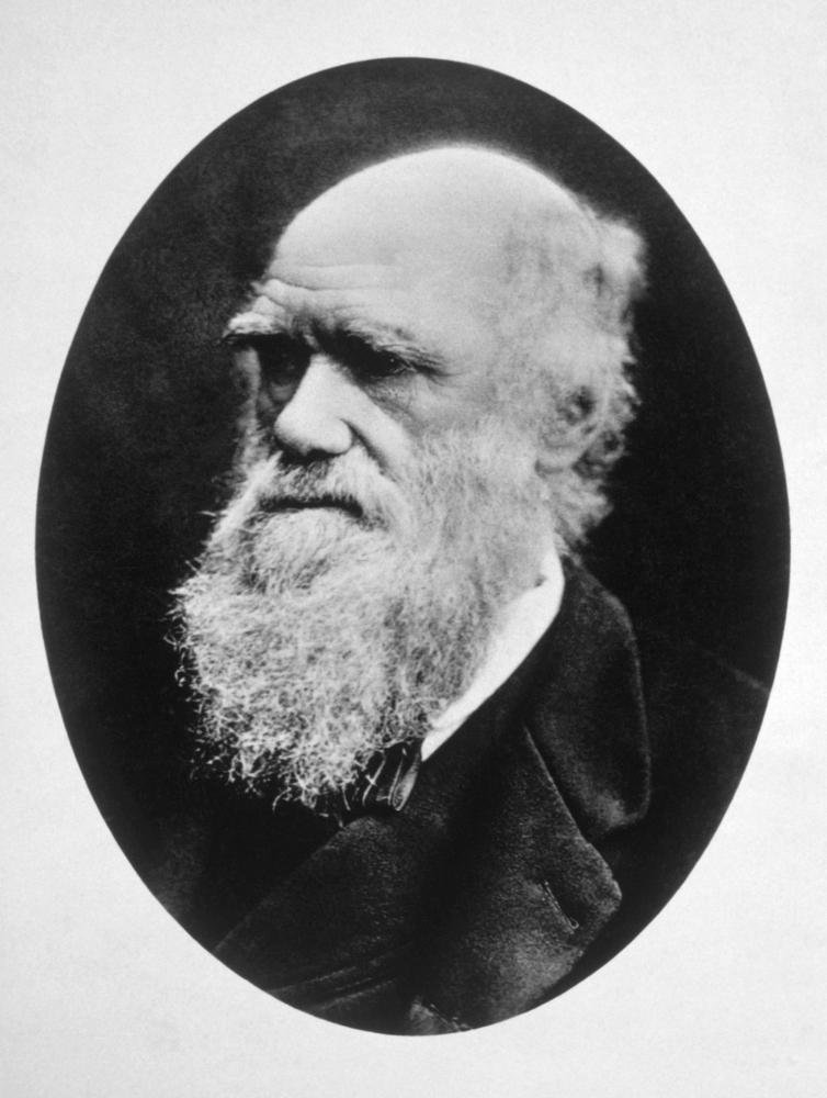 Charles Darwin era um dos grandes admiradores das obras de Jane Austen