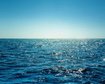 thumb-image-2024-02-29T14:06:13.651Z