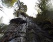 thumb-image-2024-02-29T14:06:14.133Z
