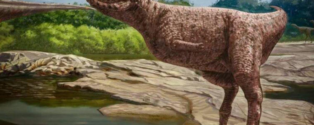 Descoberta nova espécie de dinossauro com braços minúsculos como o