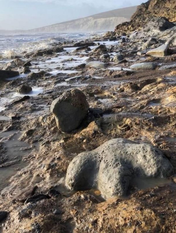 Os restos fossilizados foram encontrados na Ilha de Wight. (Fonte: Jeremy Lockwood/ All That Interesting/ Reprodução)