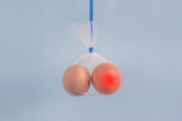 (Fonte: Shutterstock)