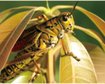 thumb-image-2024-02-29T14:06:15.474Z
