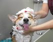 thumb-image-2024-02-29T14:06:15.746Z