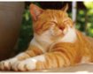 thumb-image-2024-02-29T14:06:16.309Z
