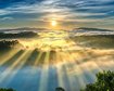 thumb-image-2024-02-29T14:06:16.371Z