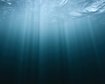 thumb-image-2024-02-29T14:06:16.626Z
