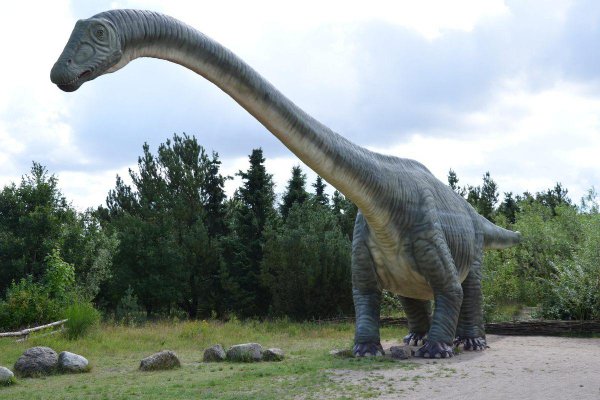 5 Bizarre Creatures That Lived With Dinosaurs