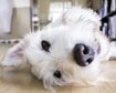 thumb-image-2024-02-29T14:06:18.678Z