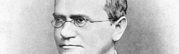 Imagem de Os 200 anos de Mendel, o pai da Genética no megacurioso