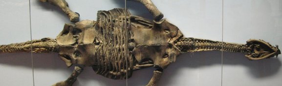 Imagem de Monstro do Lago Ness: estudos indicam que mito pode ser plausível no megacurioso