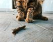 thumb-image-2024-02-29T14:06:19.554Z