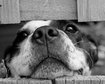 thumb-image-2024-02-29T14:06:22.298Z
