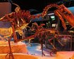 thumb-image-2024-02-29T14:06:22.652Z