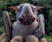 thumb-image-2024-02-29T14:06:22.450Z
