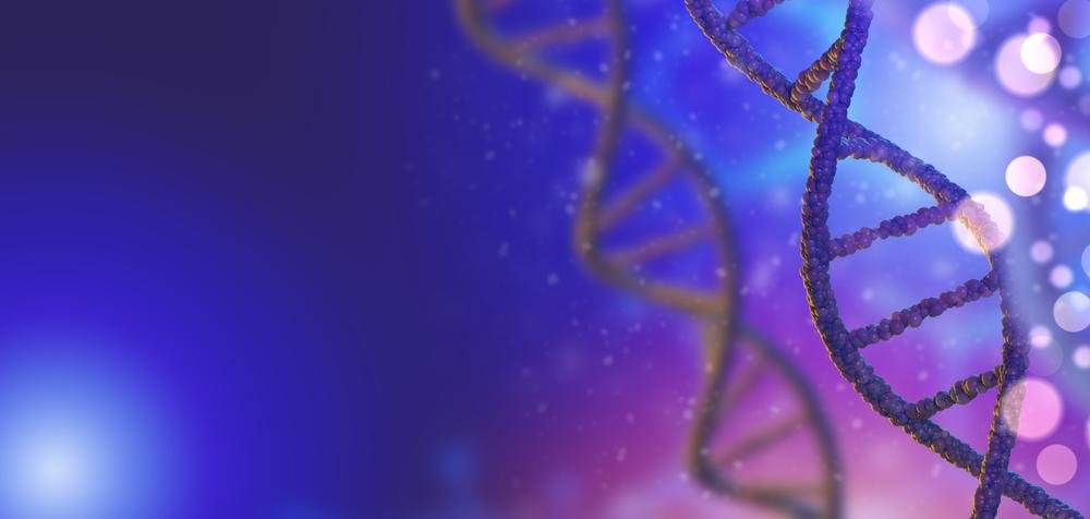 O DNA é o fator decisivo quando o assunto é semelhança. (Fonte: Shutterstock)