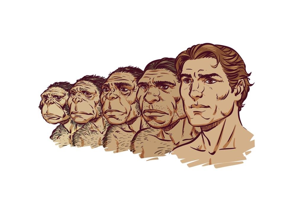 Diversas espécies de hominídeos viveram durante um período. (Fonte: Shutterstock)