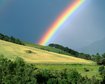 thumb-image-2024-02-29T14:06:22.992Z