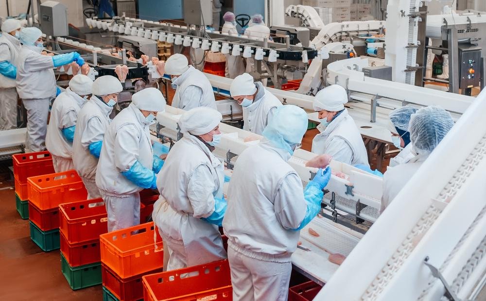 Trabalhadores da indústria de frango têm trabalho perigoso, tanto fisicamente quanto psicologicamente. (Fonte: Shutterstock)