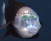 thumb-image-2024-02-29T14:06:24.010Z