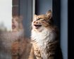 thumb-image-2024-02-29T14:06:24.997Z