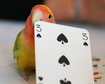 thumb-image-2024-02-29T14:06:25.043Z