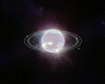thumb-image-2024-02-29T14:06:25.284Z