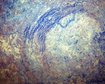 thumb-image-2024-02-29T14:06:26.564Z