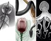 thumb-image-2024-02-29T14:06:26.400Z