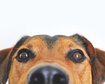thumb-image-2024-02-29T14:06:26.695Z