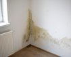 thumb-image-2024-02-29T14:06:28.523Z