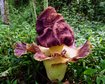 thumb-image-2024-02-29T14:06:28.661Z